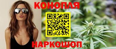 крисы Братск