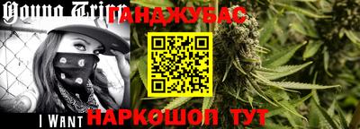 крисы Братск