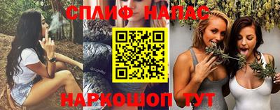 крисы Братск