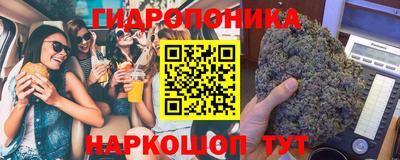 крисы Братск
