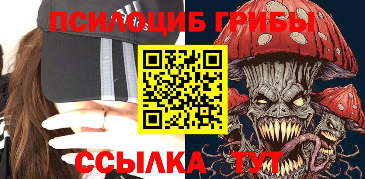 Галлюциногенные грибы Psilocybe  Вход с VPN  сколько стоит  Клин 